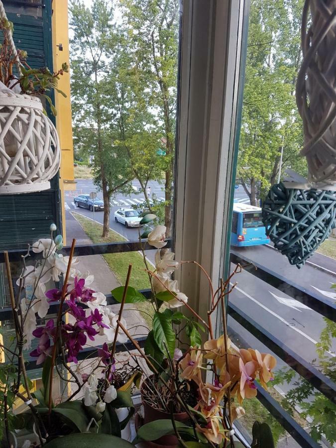 Studio Apartman Zagreb Zapad Vrapce Eksteriør billede