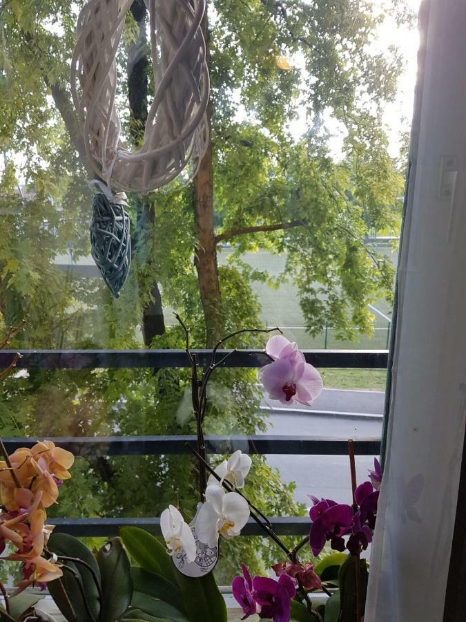 Studio Apartman Zagreb Zapad Vrapce Eksteriør billede